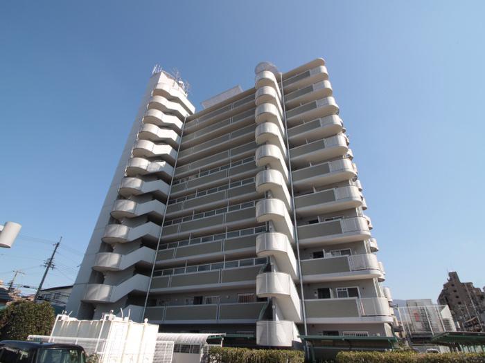 ベイリーブス