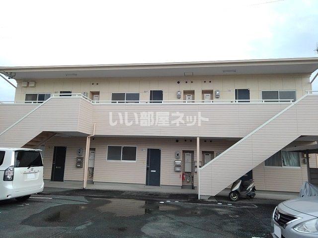 サキュレント樹 B