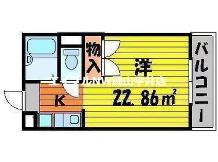 レオーネ竜之口(1K/1階)の間取り写真