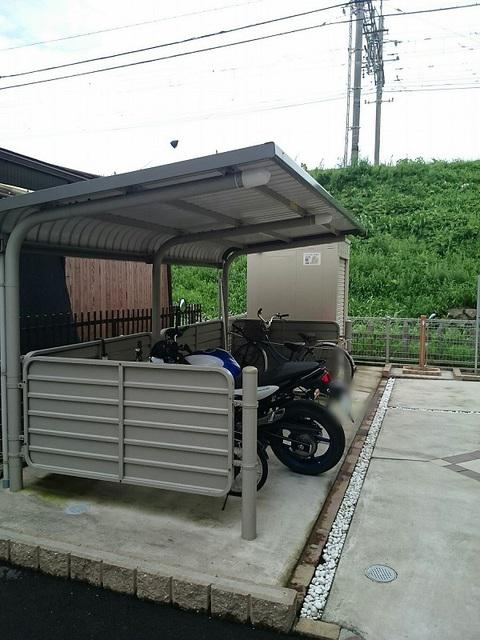 サンシャイン