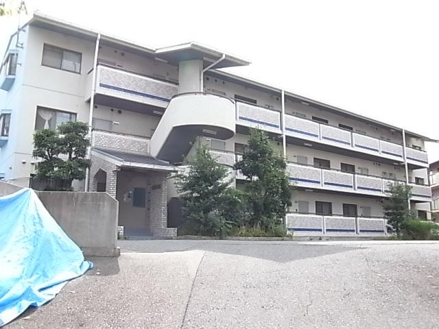 ブルーシャイン桃山