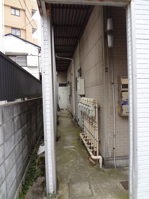 ビックリバー綱島