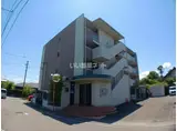 ラフィーネシャラ