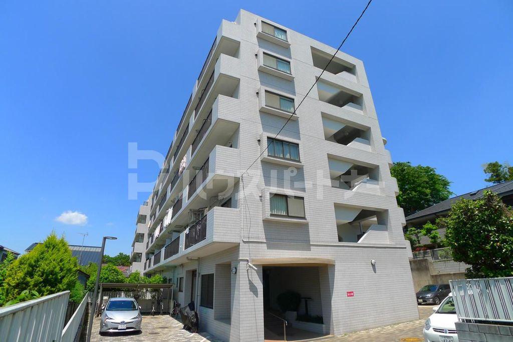 アルス北柏