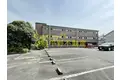 エテルネルソレイユⅢ
