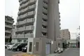 クレストサンシェル