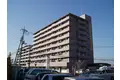 ミネルバS