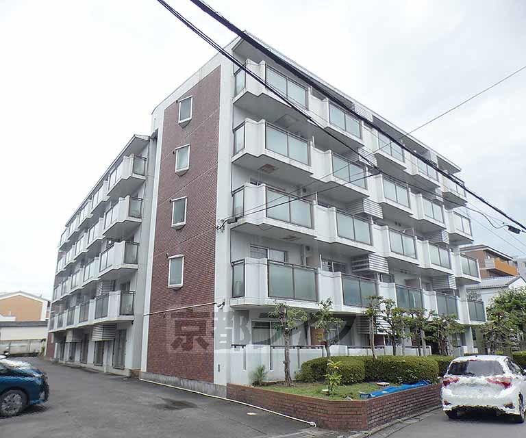 川端ハイツ(1K/2階)