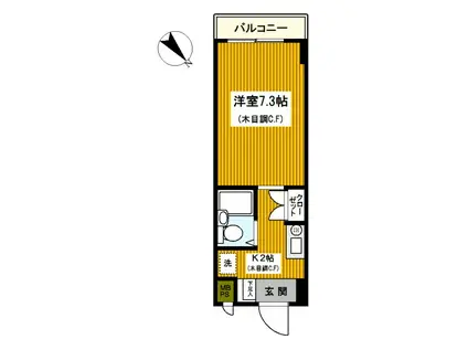 ドルフ安藤橋III(1K/5階)の間取り写真