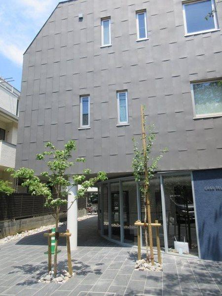 CASA SELVA