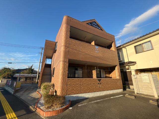 ミュールこが