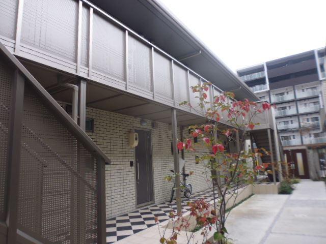 ラピナス