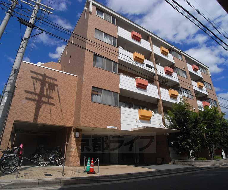 TAMS COURT