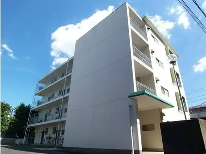 リビエラハイツ(2DK/2階)の間取り写真