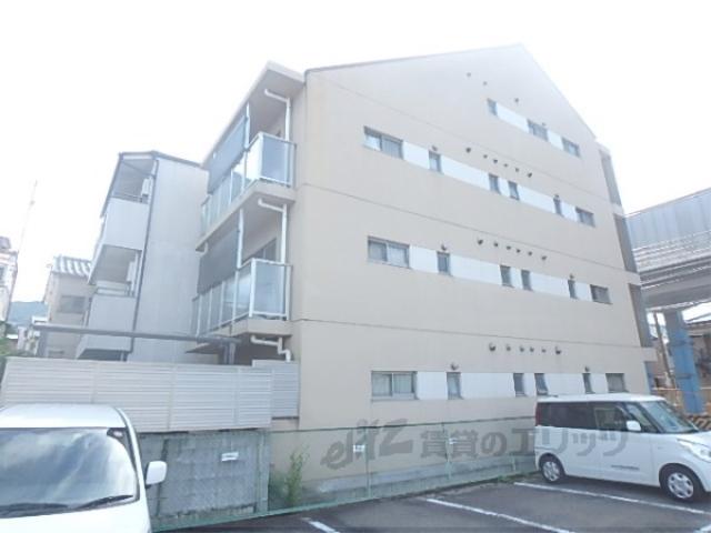ヴィヴィ モラド