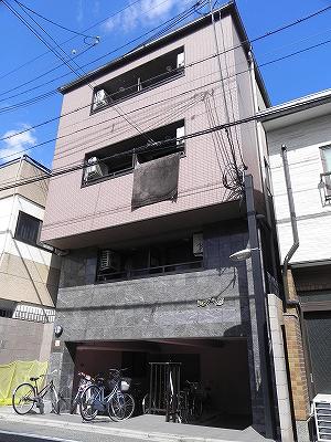 TAISEI都