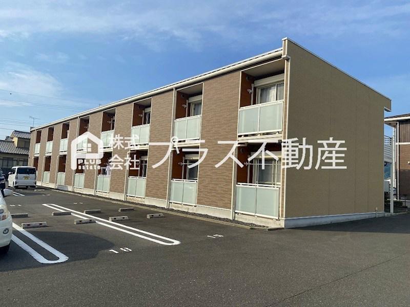 レオネクストはなみずき