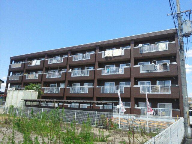 モラーダアオキ