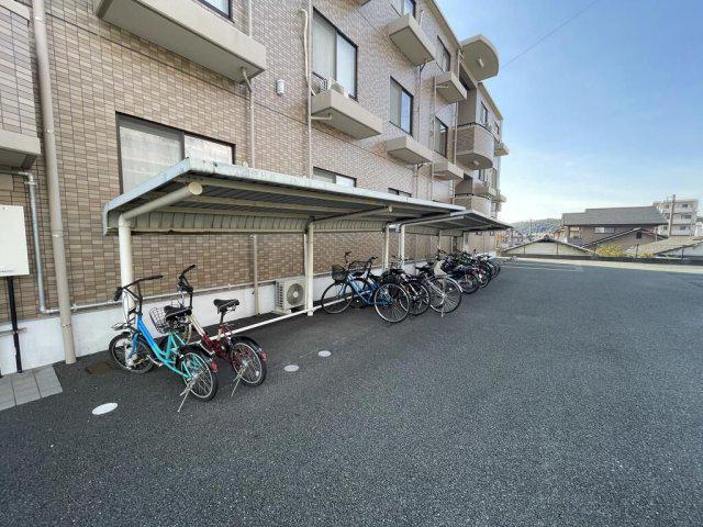 ルネス・ワイアール