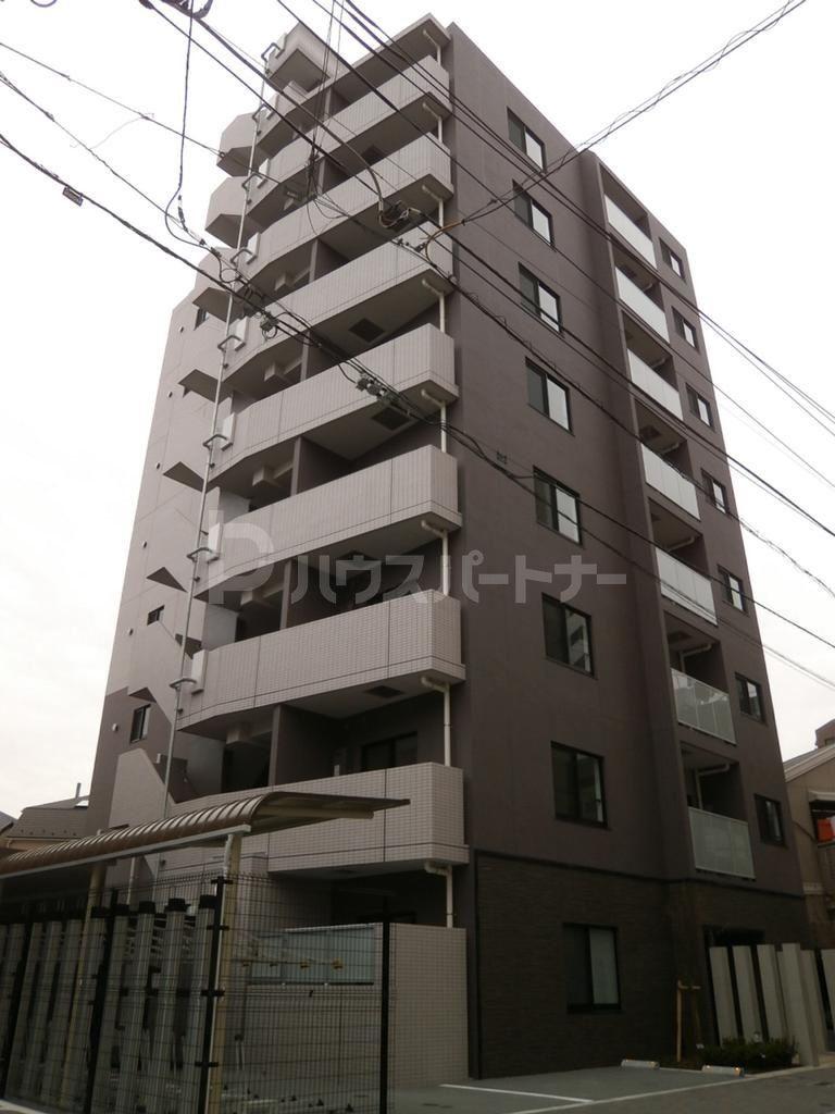 DIPS小竹向原
