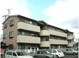 サンライズ茜
