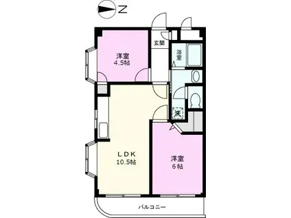 第2カメリアビル大澤(2LDK/1階)の間取り写真