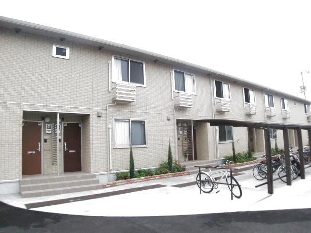 コンフォート III