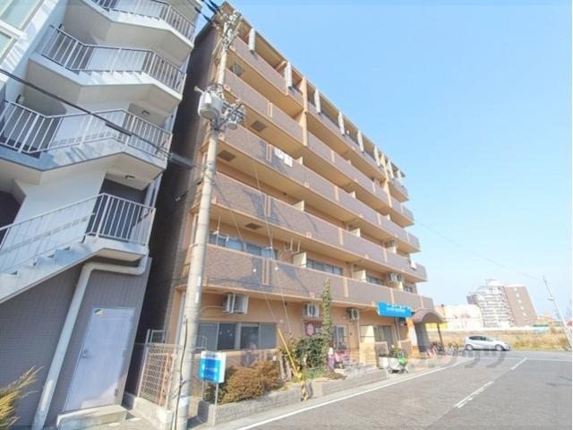 メルベーユ杉