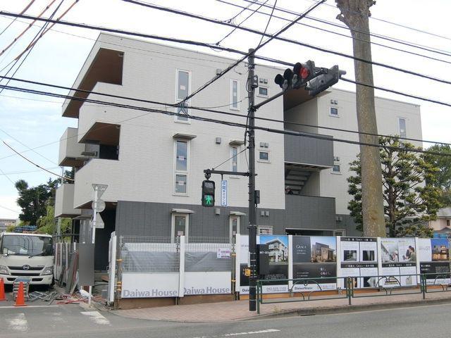 ファインカシワ