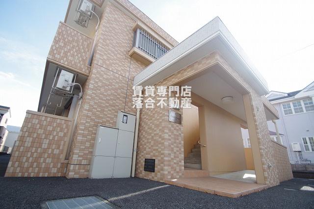 カテドラル