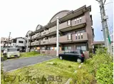 コートグレース