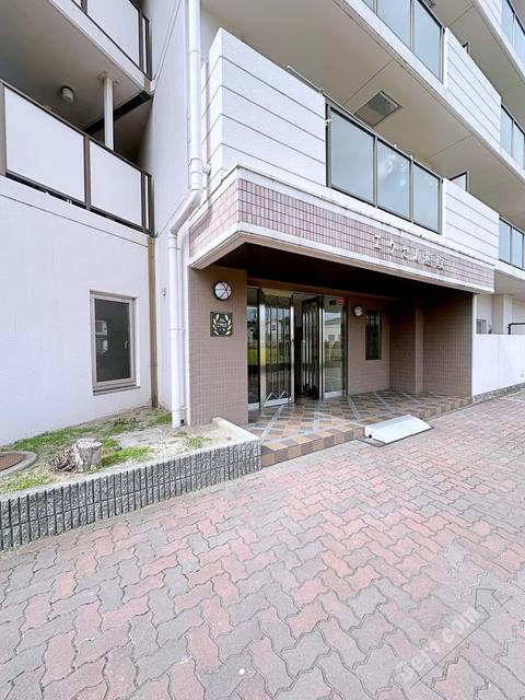 エクセル熊取