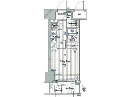 THEパームス東武練馬(1K/10階)の間取り写真