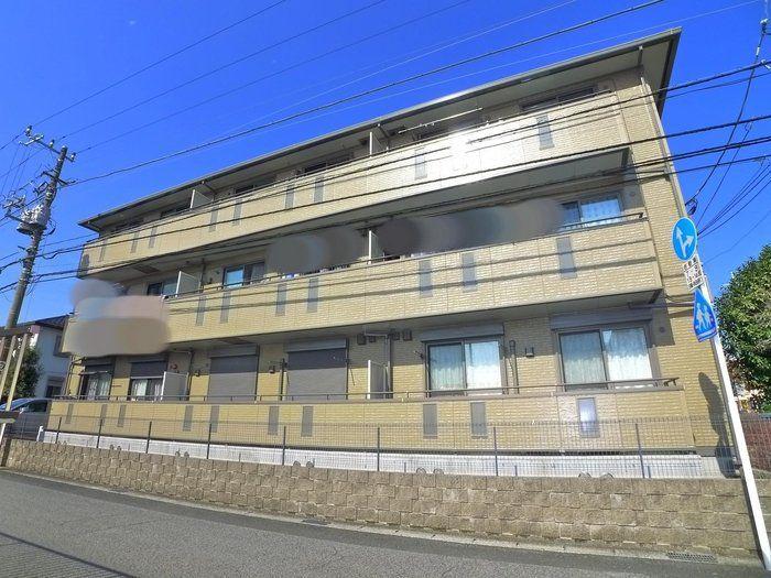 セジュール山の根