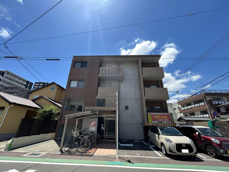ステラ武