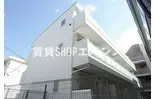 リブリ・パイントリーV