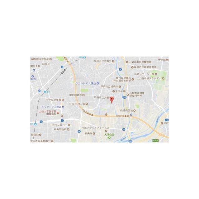 ST甲府・堀之内ハイツD棟