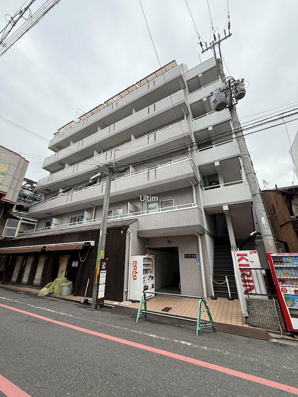 ルミナス錦