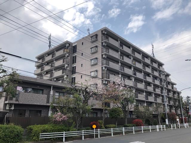第9エルム大倉山