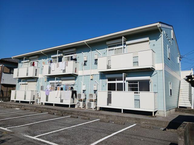 ハイライズカメリヤ