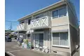 スプルースシマダ