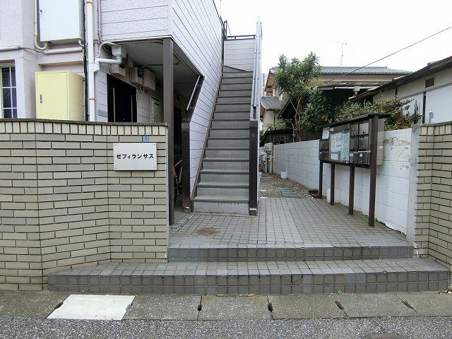 ゼフィランサス新柏