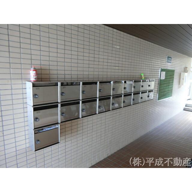 DO坪井