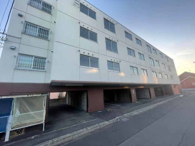 レタラタッニ白樺