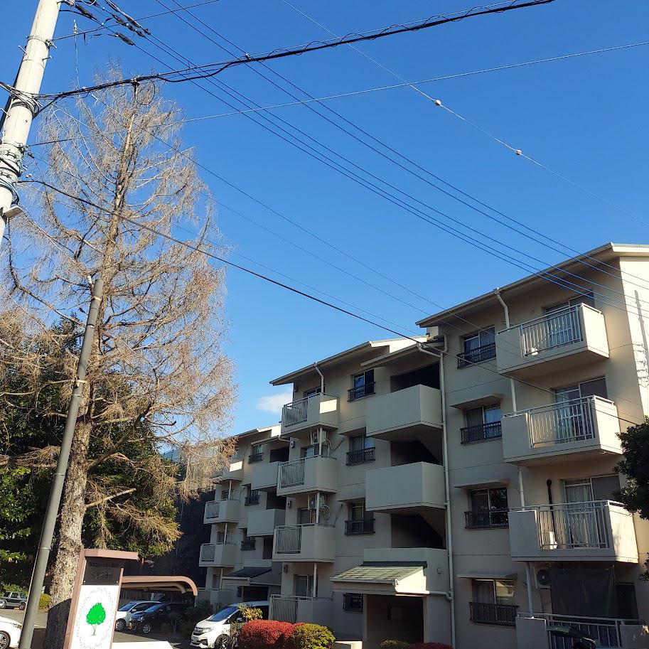 森の里くすのき台団地