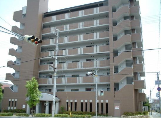 IVY HEIGHTS