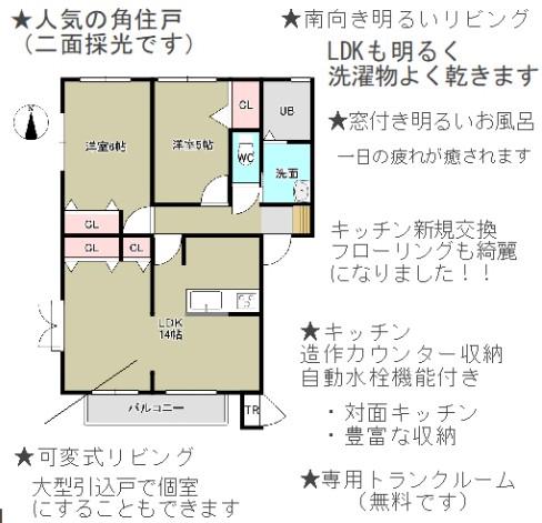 DUO-β(2LDK/1階)の間取り写真