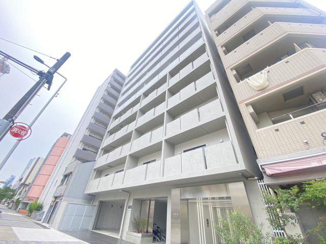 KAYA KIKUI