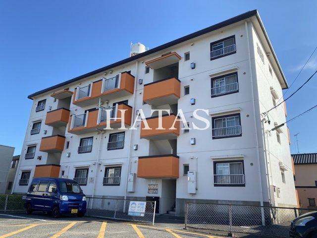 マンション杉(3DK/3階)