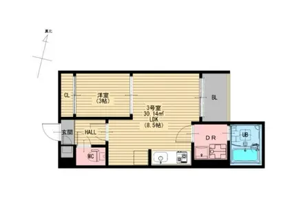 REGALEST熊本中央(1LDK/2階)の間取り写真